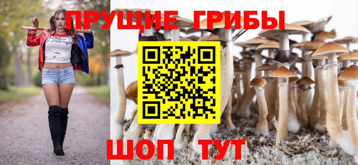 Псилоцибиновые грибы мухоморы  Вход с VPN  Галлюциногенные грибы Psilocybe  Когалым 