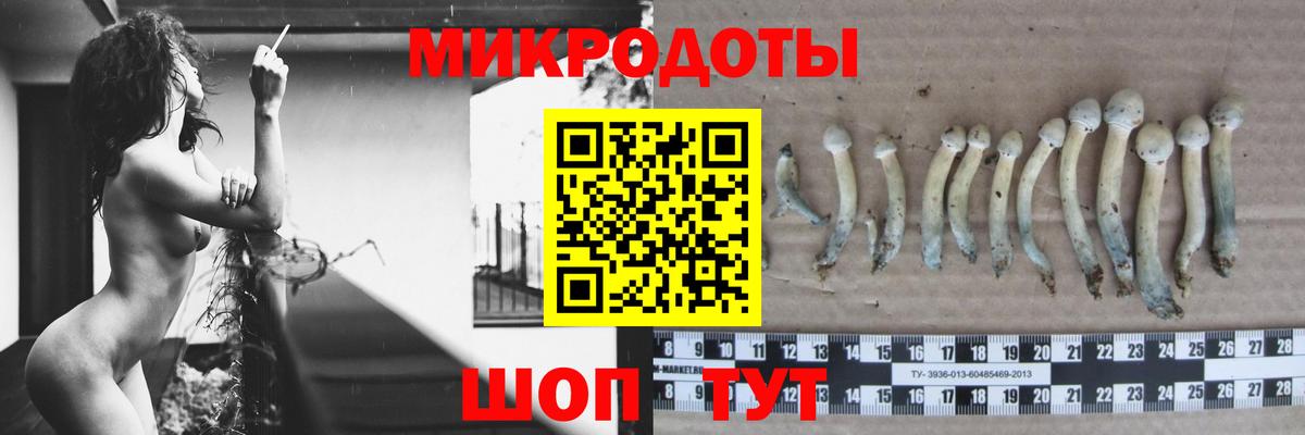 Псилоцибиновые грибы прущие грибы Когалым